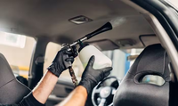 Headliner Cleaning